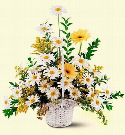 Thailandcakes Funerals for Thailand