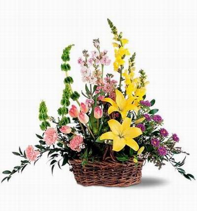 Thailandcakes Funerals for Thailand