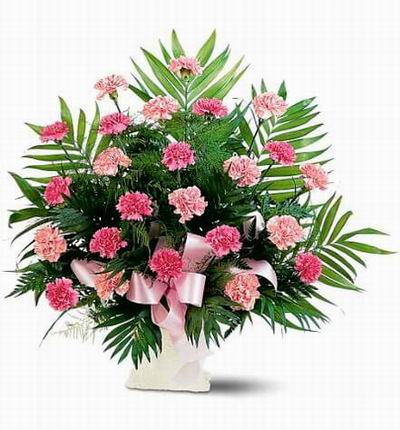Thailandcakes Funerals for Thailand