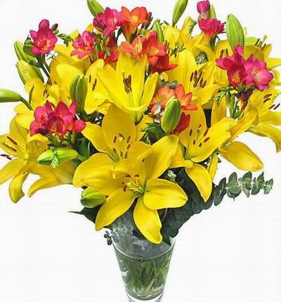 Kowloonflowers Lilies for Hong Kong