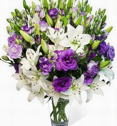 Kowloonflowers Lilies for Hong Kong