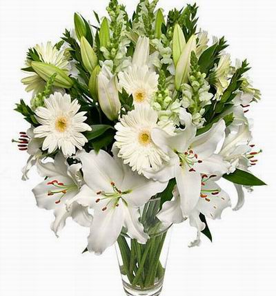 Kowloonflowers Lilies for Hong Kong