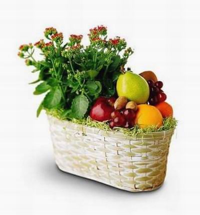 Tianjinflorist Fruit baskets for Tianjin