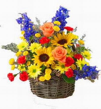 India-flower Discount flowers for India
