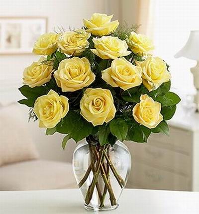 Singapore_flowers Roses for Singapore