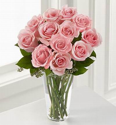 Singapore_flowers Roses for Singapore