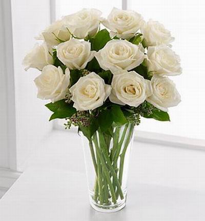 Tianjinflorist Roses for Tianjin