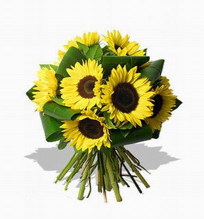 Singaporecake Sunflowers for Singapore
