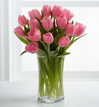 India-flower Birthdays for India