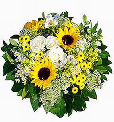 Canadaflowerstore Premium flowers for Canada
