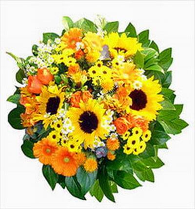 India-flower Premium flowers for India