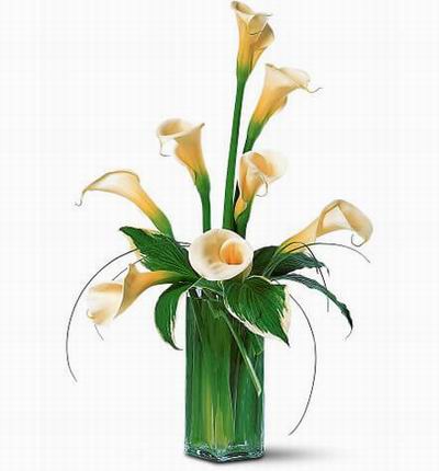 Flowerwide Mixed bouquets for 