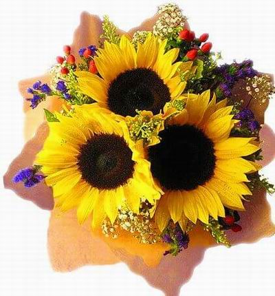 India-flower Birthdays for India